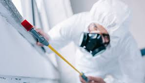 Best Residential Pest Control  in Athens, OH